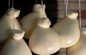 Presidi Slow Food Calabria: quali sono e in che zona trovarli