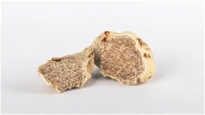 Tartufo di Sant'Agata Feltria 2026: la fiera che apre il calendario del bianco