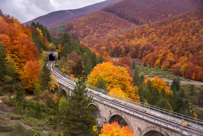 Linea ferroviaria di montagna tra i boschi d’autunno