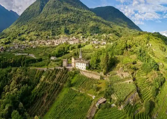 Chiuro in Valtellina e i suoi vigneti