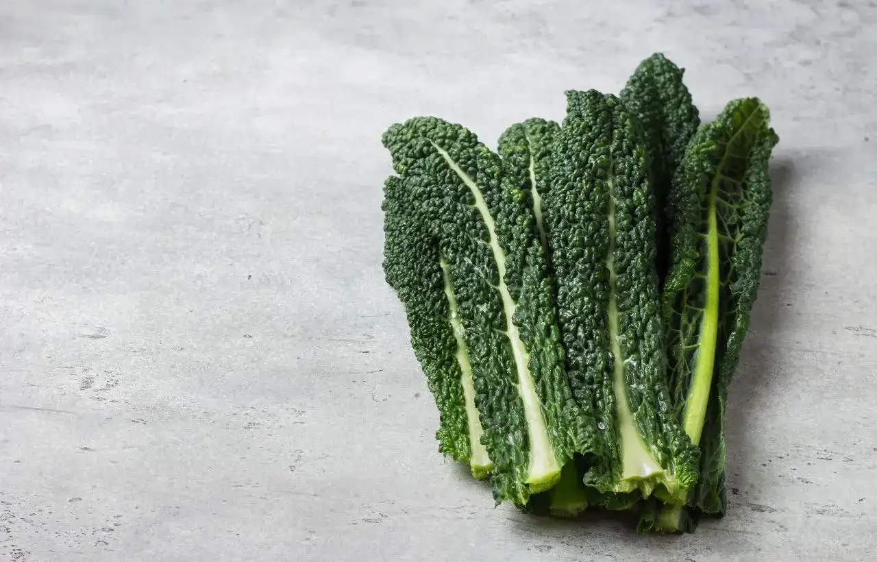 ricette con il cavolo nero