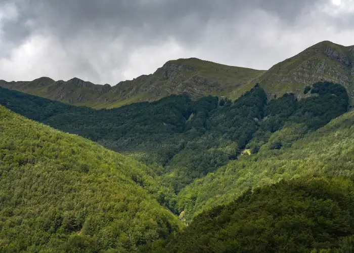 Appennino tosco-emiliano - Via della Lana e della Seta