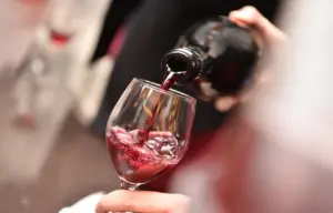 Quali sono i migliori vini della Romagna