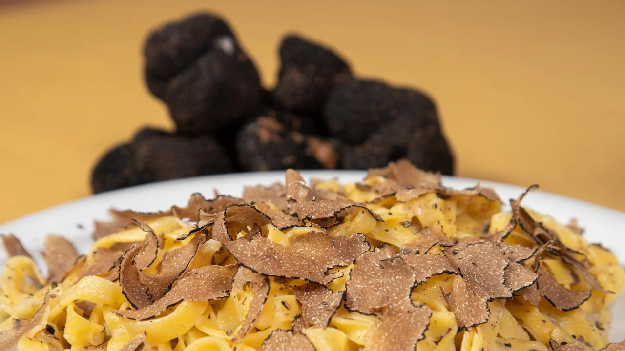 Tagliatelle con tartufo bianco appena affettato, il piatto che si va a mangiare alla fiera del tartufo di Acqualagna