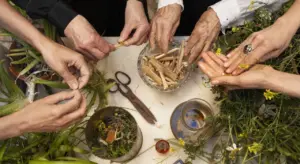 Botànica Domèstica, la mostra che intreccia piante, arte e memoria femminile