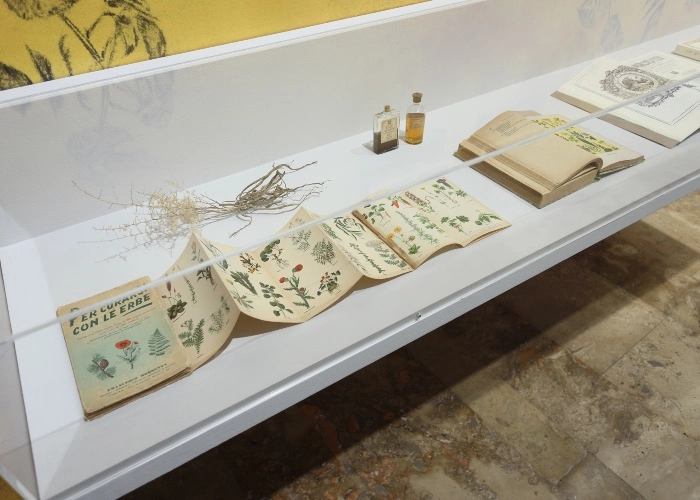 Botánica Doméstica installazione