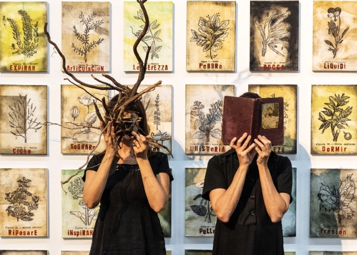 mostra a Valencia