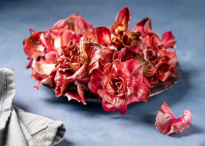 Radicchio rosa di Gorizia