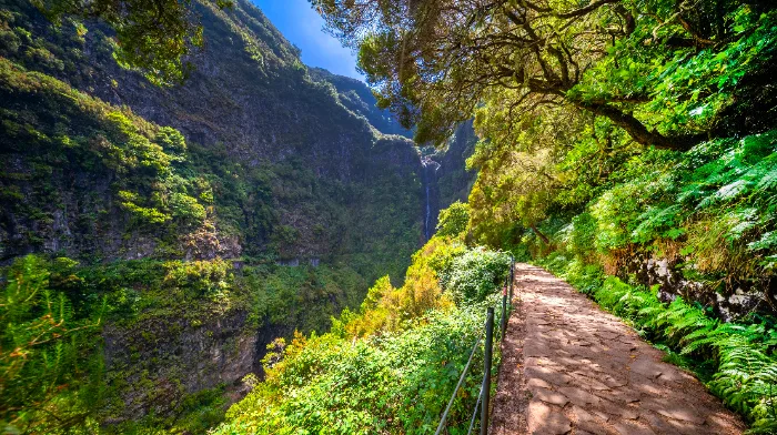 Una levada di Madeira, canale d'irrigazione trasformato in sentiero