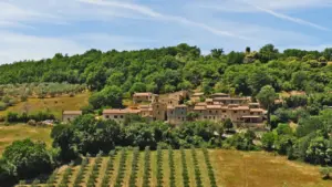 Frantoi Aperti 2026: date, programma e borghi dell'olio nuovo in Umbria