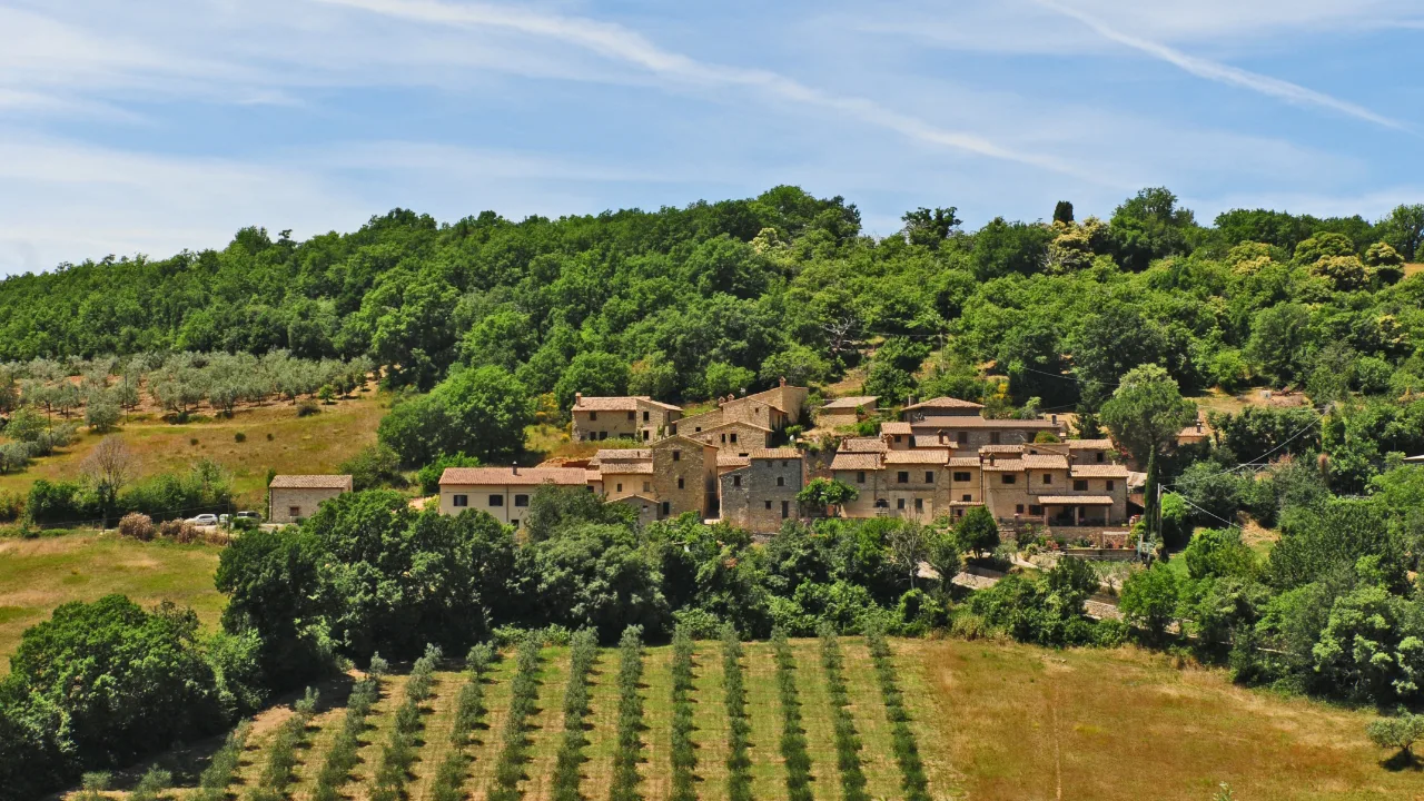 Colline e uliveti intorno a Trevi, in Umbria con Frantoi Aperti 2026