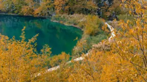 Cosa vedere in Croazia in autunno: laghi, tartufi e vino nuovo