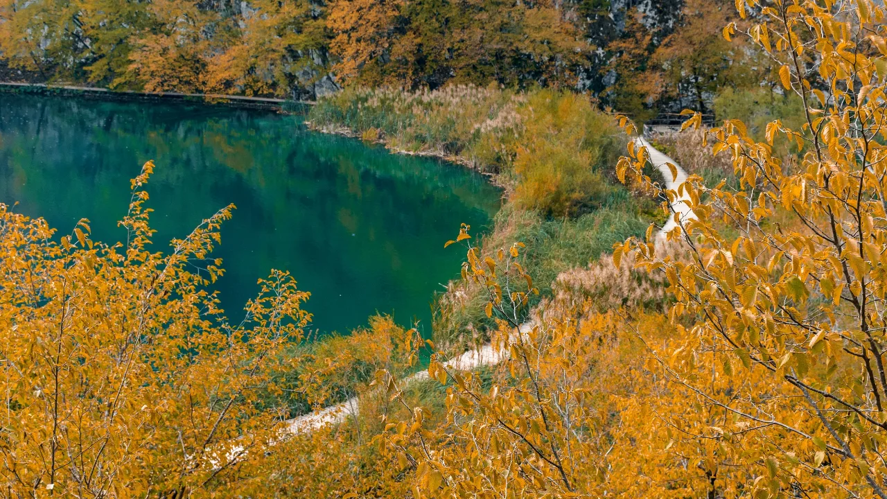 Cosa vedere in Croazia in autunno: i laghi del Parco Nazionale di Plitvice tra i colori del foliage