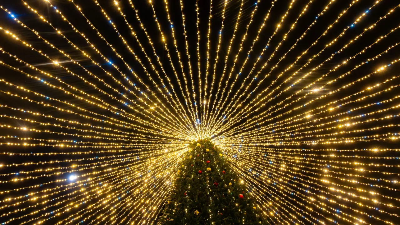 Albero e luci di Natale accese