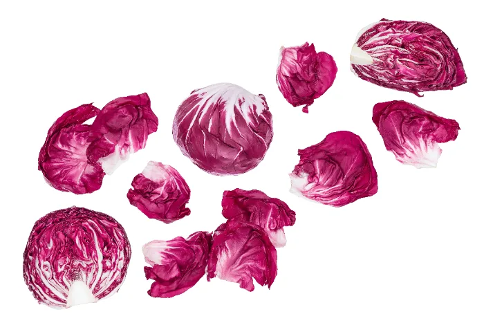 Sagre Veneto novembre 2026 - Foglie di radicchio rosso fresco