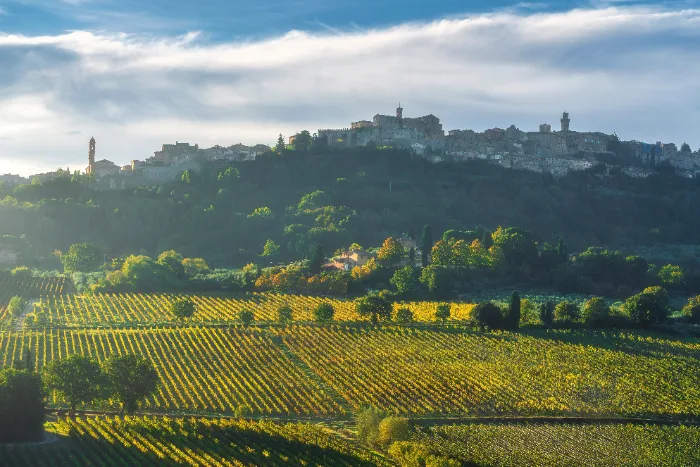 Mostra del tartufo di San Miniato - Cittadina toscana su una collina al mattino